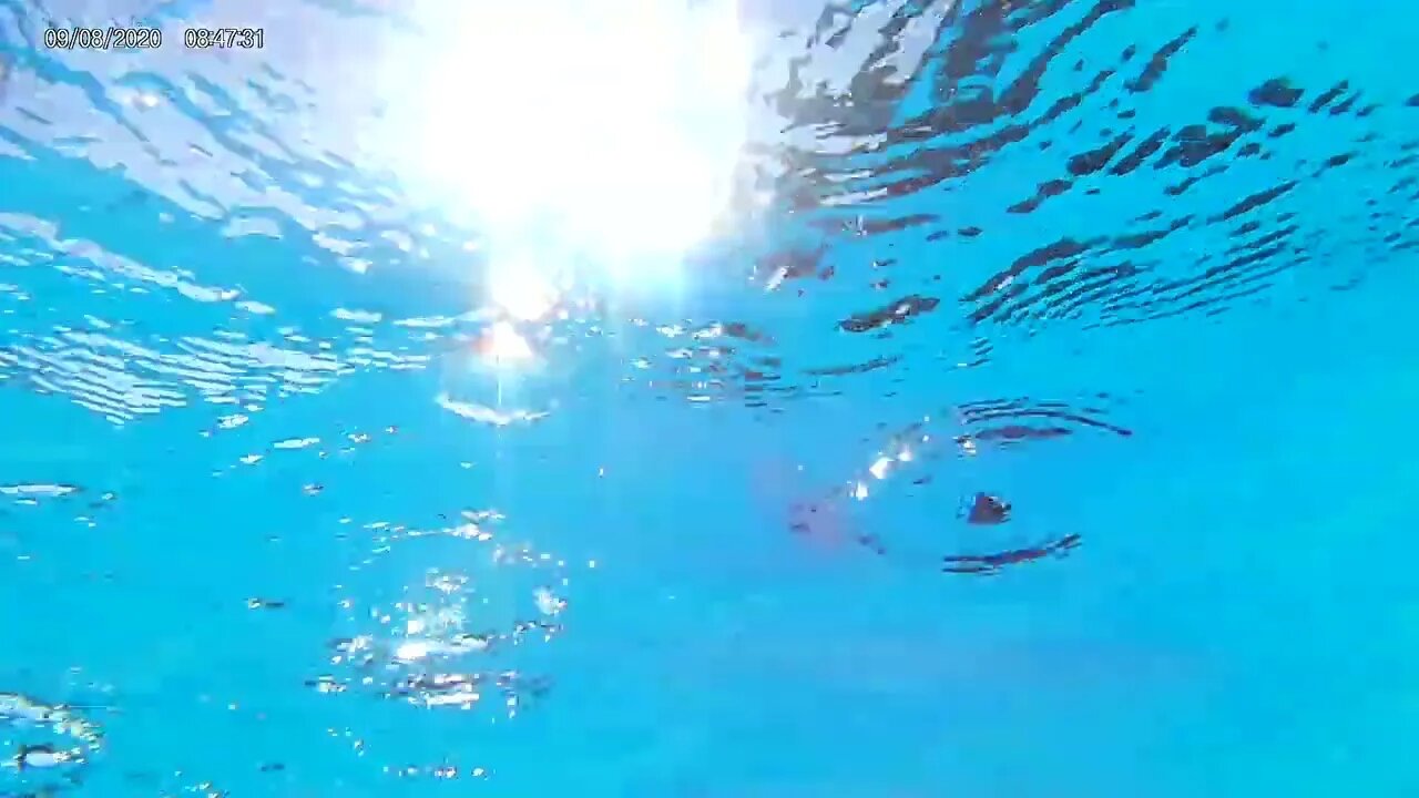 Daytimedip in a pool part 1.Click into the link in the description. (thescifishortstorywriter.com)