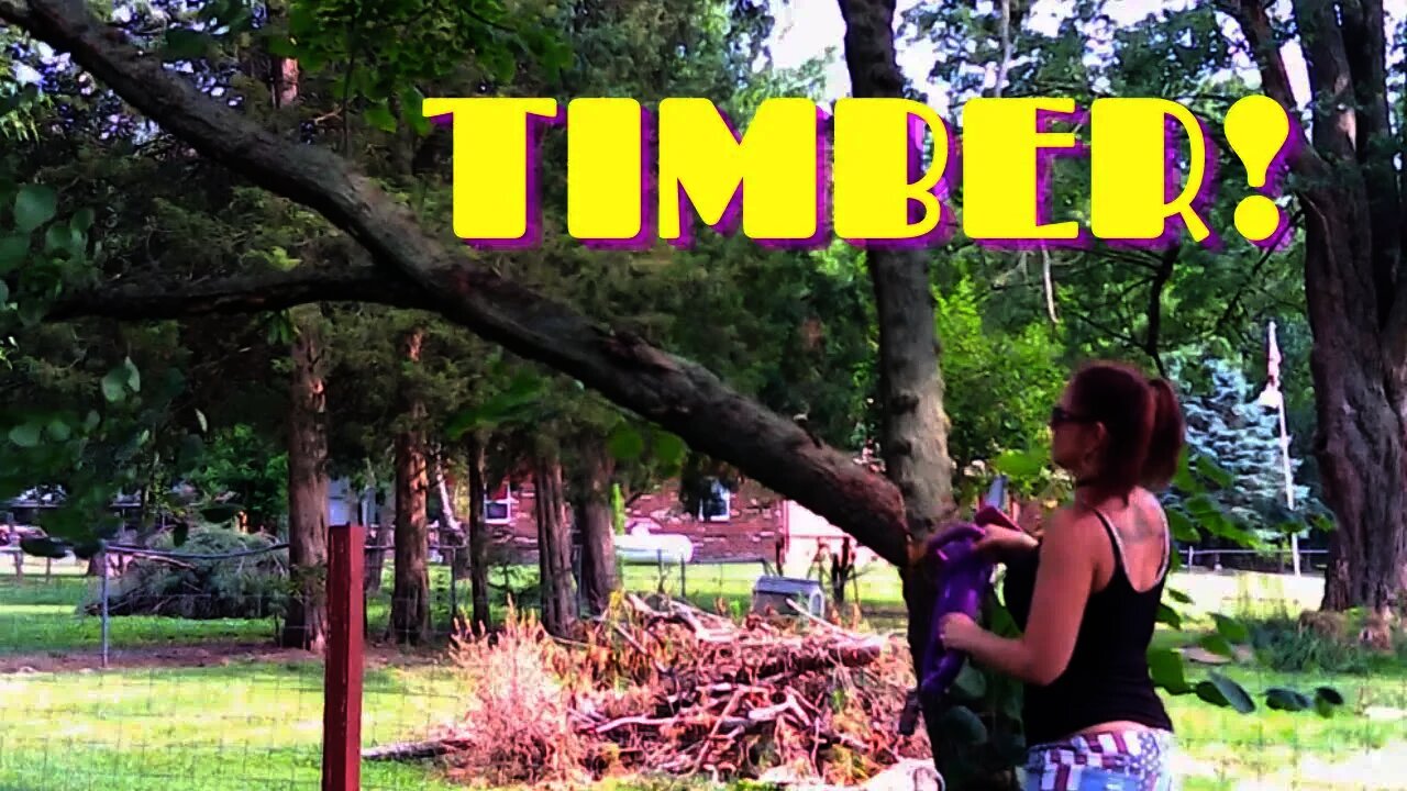 She LOVES Her CHAINSAW/Tree Sawing FRENZY On The Mini Farm!