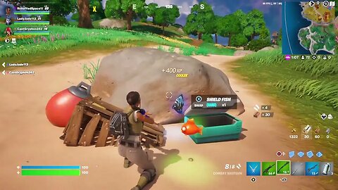 Fortnite