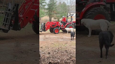 Watch Out #wife #tractor #dog