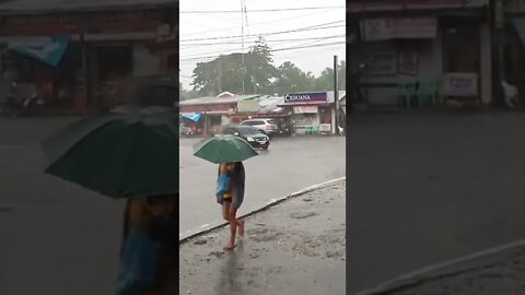 Mga pamalay nga ginsul-ob sang tubig baha sa Sitio Dasuk, Brgy. Jalaud Norte, Zarraga, Iloilo