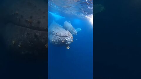 Relaxing Video