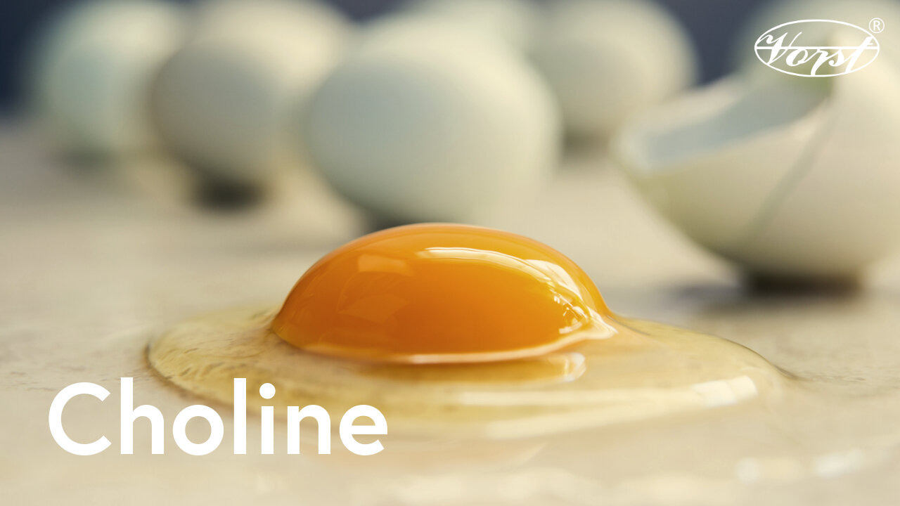 Choline - benefits for Brain, Liver