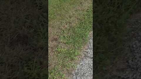 getting colder #shorts