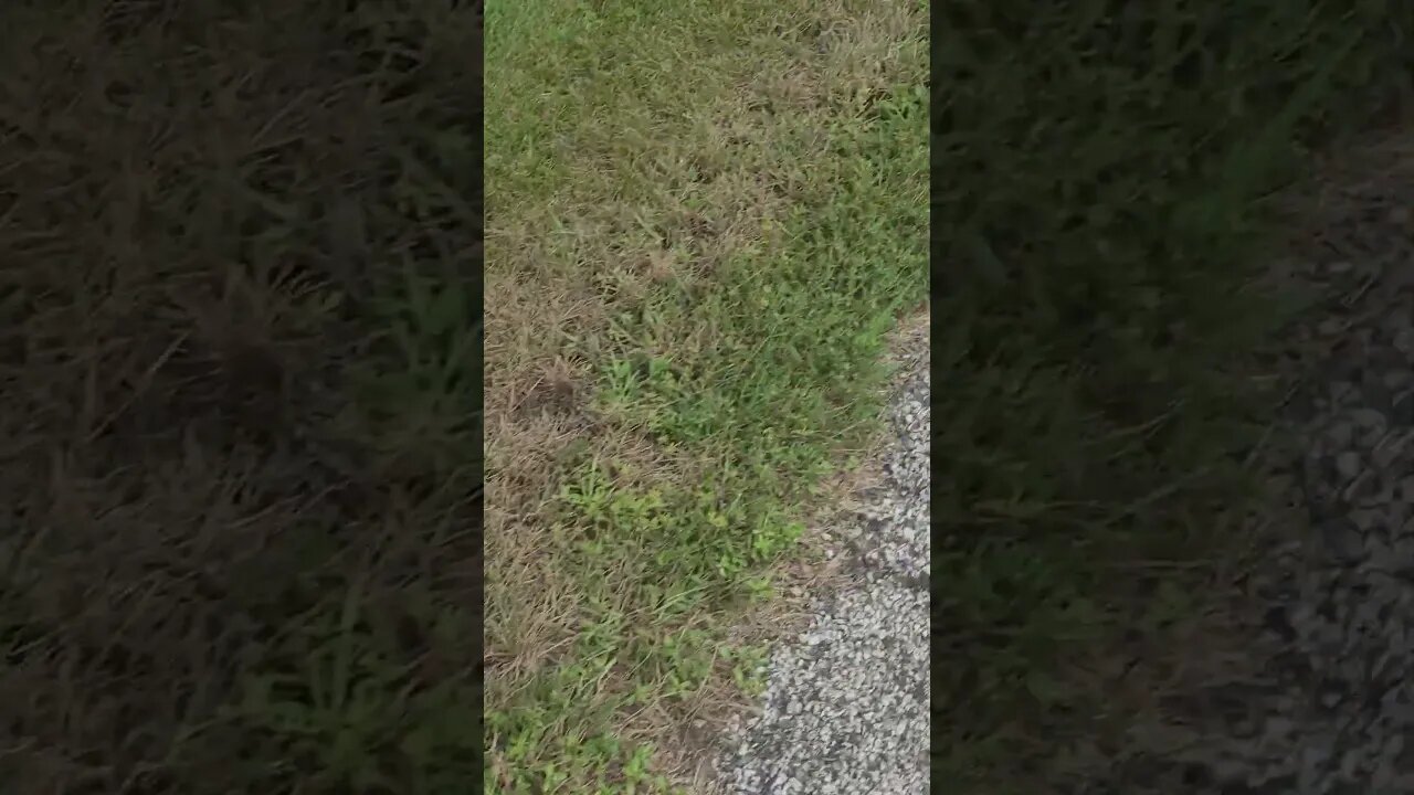 getting colder #shorts