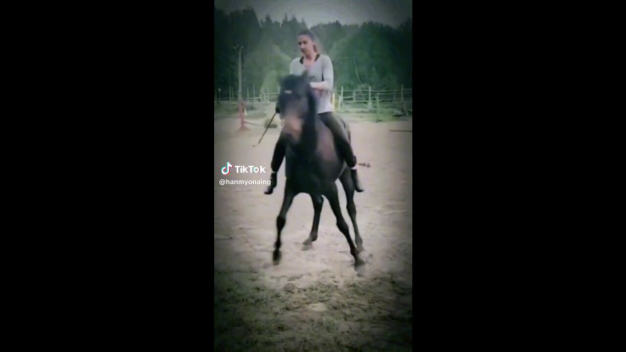 horse dancing with girl