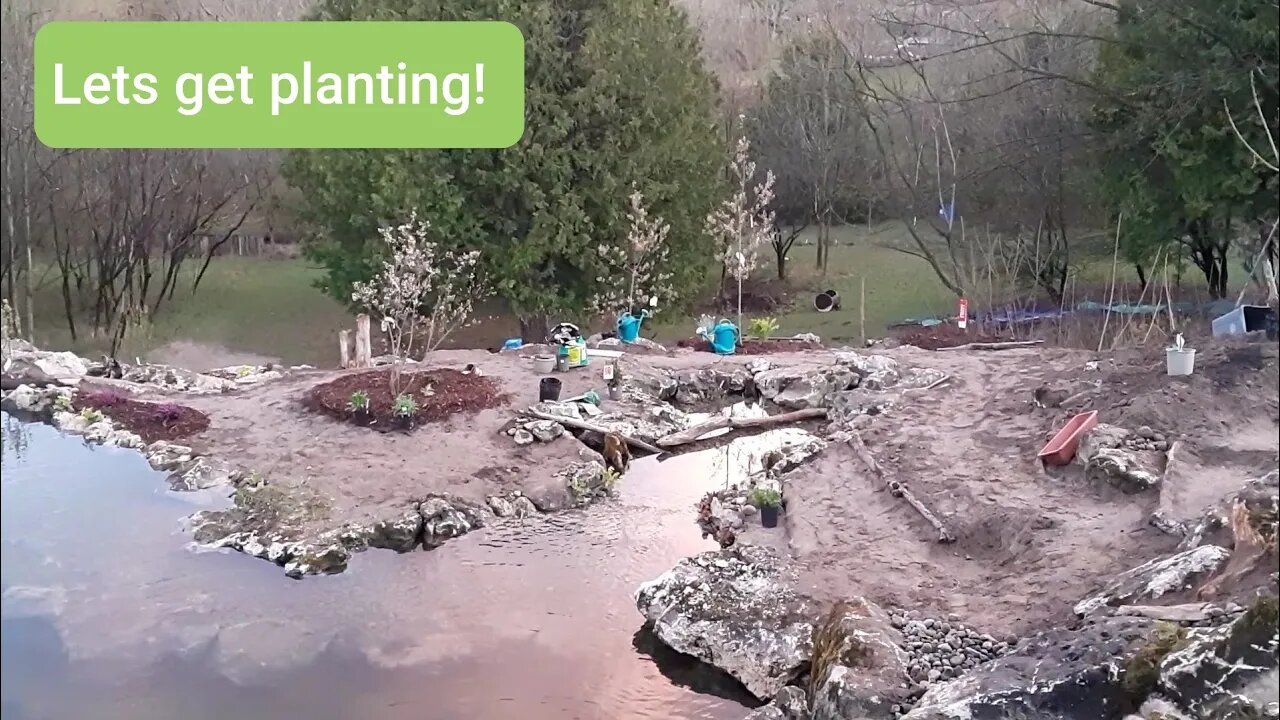 Time to start grading, planting and mulching the pond