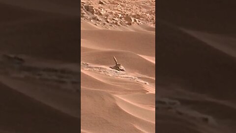 plant or some special creature on planet Mars ? #shorts