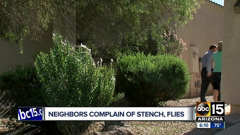 San Tan Valley residents complain of stench from deceased neighbor's home