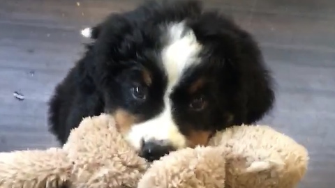 How can you say no to this?