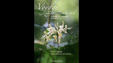 Voyage au coeur des Fleurs de Bach