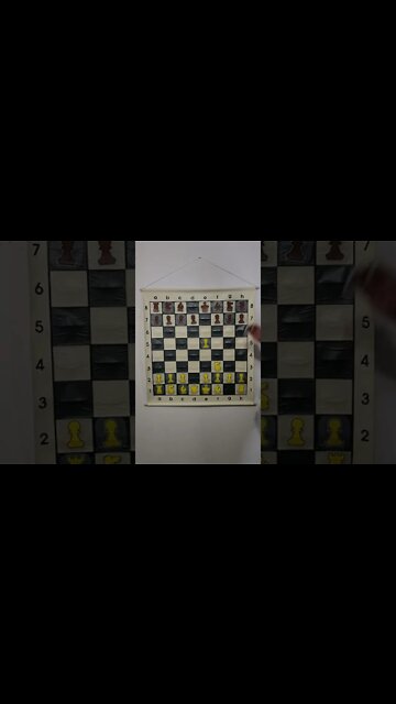 What is the Mosquito Gambit in Chess?