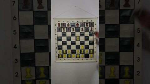 What is the Mosquito Gambit in Chess?