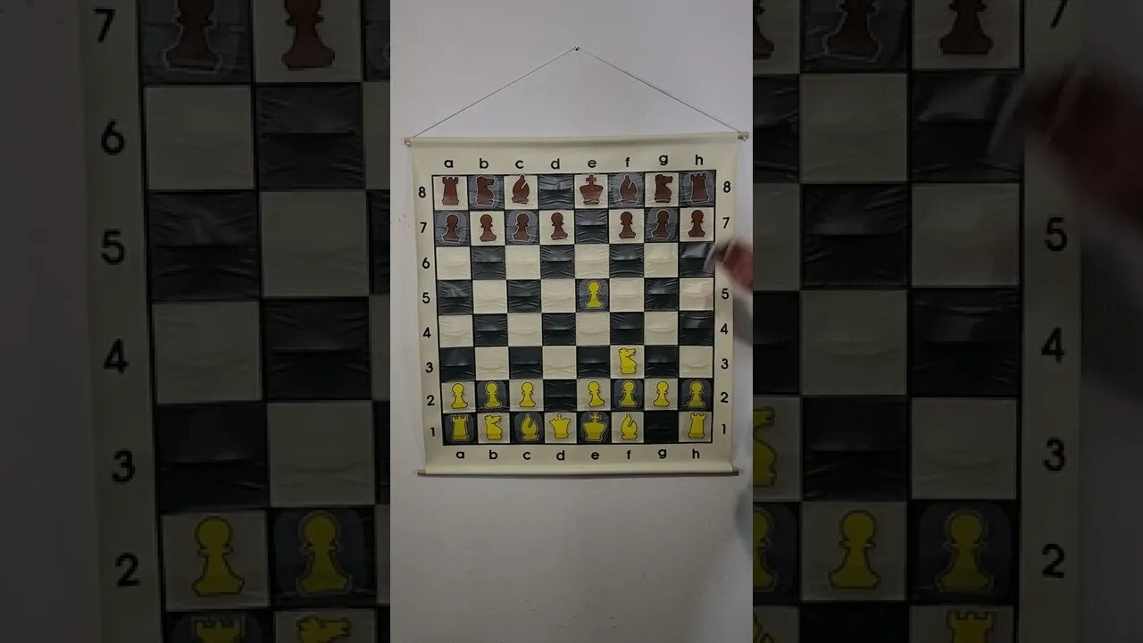 What is the Mosquito Gambit in Chess?