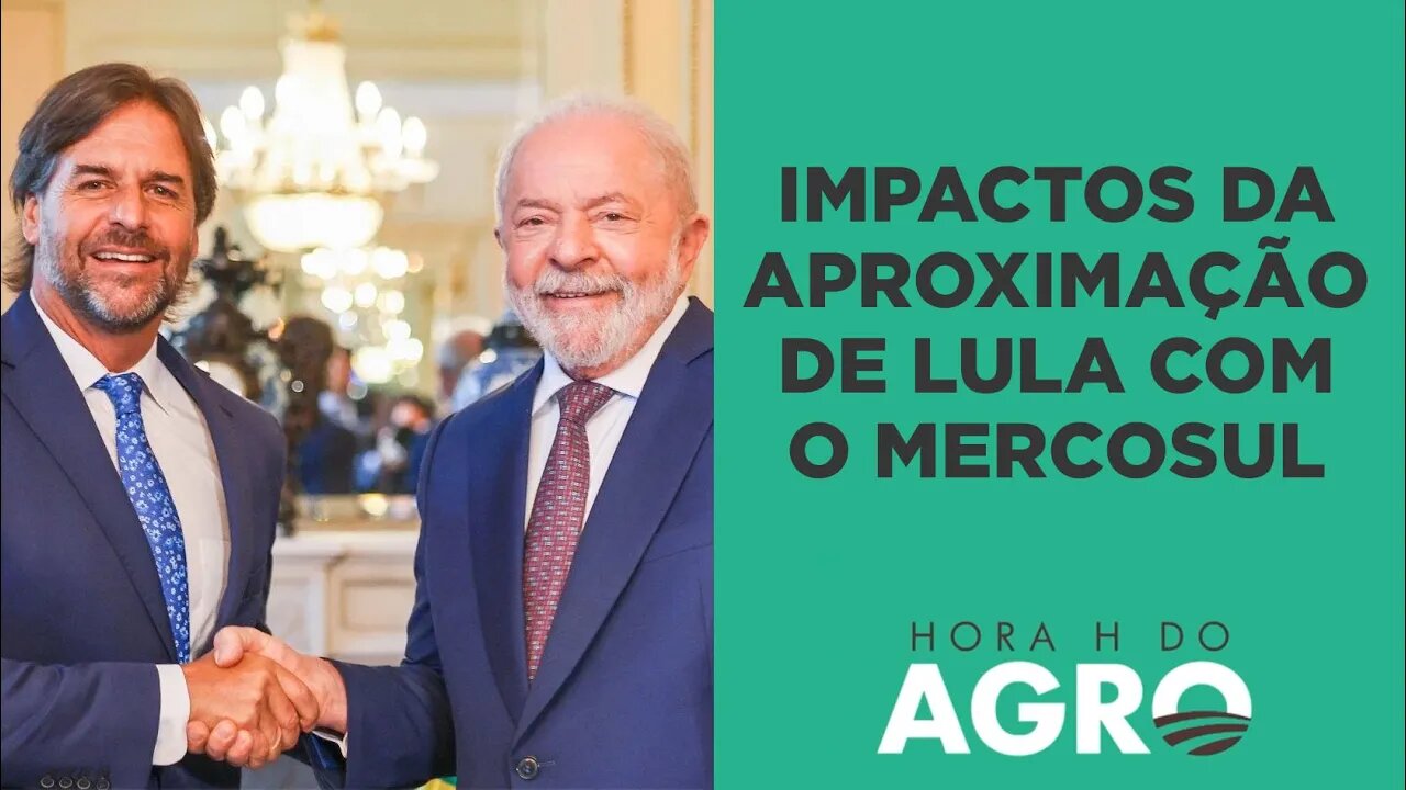 Quem ganha e quem perde com a aproximação entre Brasil e Argentina? | HORA H DO AGRO