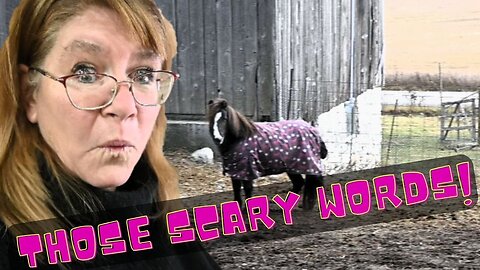 The Scary Words No Horse Owner Wants To Hear!