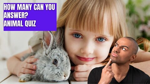 The Fun Quiz About Animals. How Many Can You Answer?