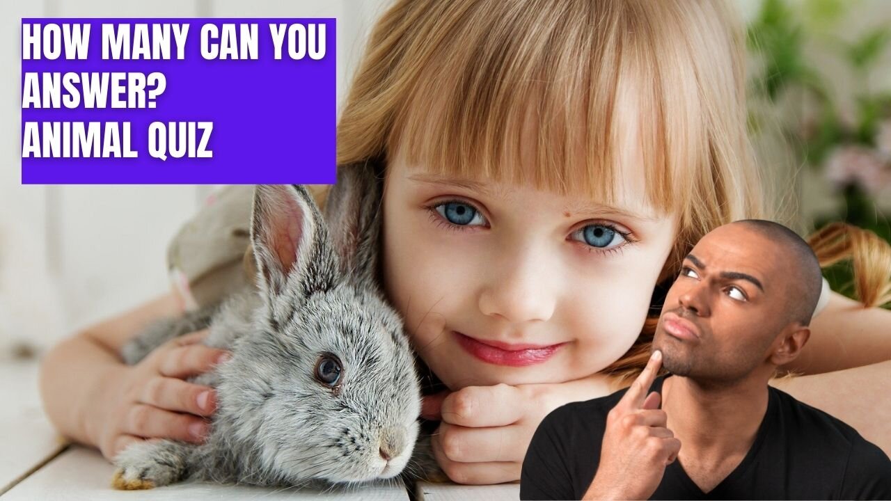 The Fun Quiz About Animals. How Many Can You Answer?