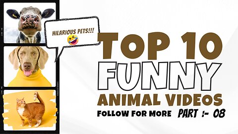 2:25 / 8:11 Funny Animal Videos 2023 🥰 - Funniest Dogs and Cats Videos 😁 #08