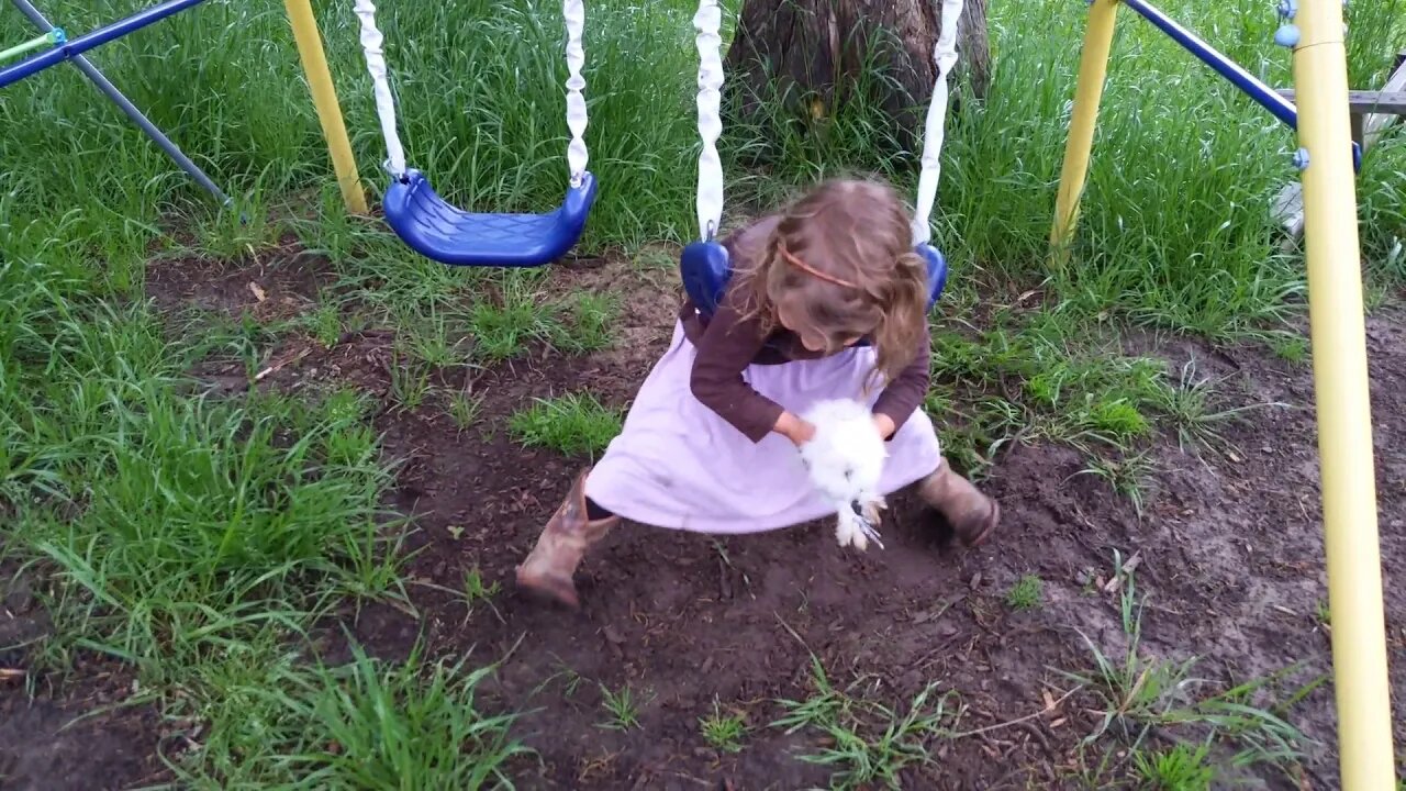 A Little Girl and her Silkie Chick