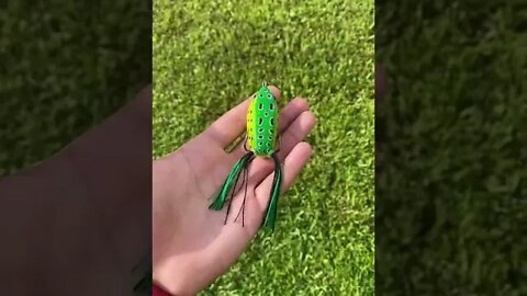 Walmart frog lure