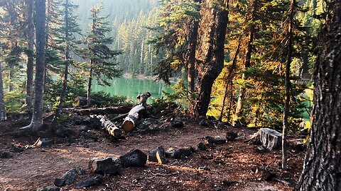 HIKING EXPLORING Devil's Lake Camping Area & Shoreline Trail @ Sunrise! | Deschutes NF | Oregon | 4K