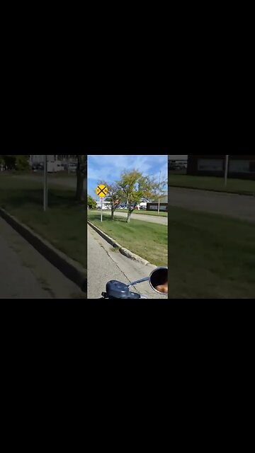 I've seen a couple of deer on my motorcycle ride