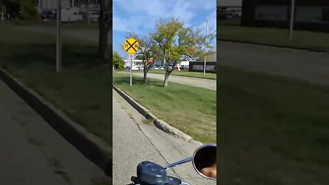 I've seen a couple of deer on my motorcycle ride