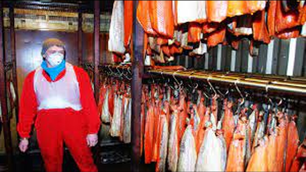 Aquaculture of salmon - Farming and harvesting of salmon - Smoked Salmon Processing