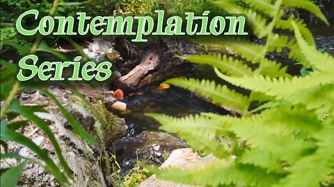Contemplation Series