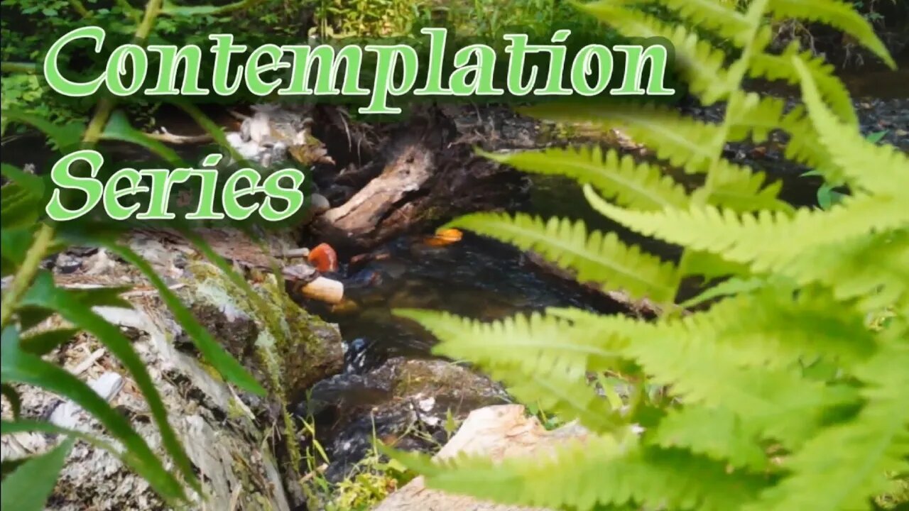Contemplation Series