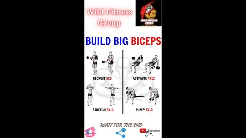 🔥Build big biceps🔥#shorts🔥#viralshorts🔥#fitnessshorts🔥#wildfitnessgroup🔥