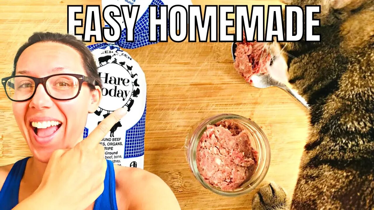 Just 3-4 ingredients! This is the EASIEST homemade raw cat food