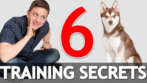 Dog Training Secrets in 5 Minutes!