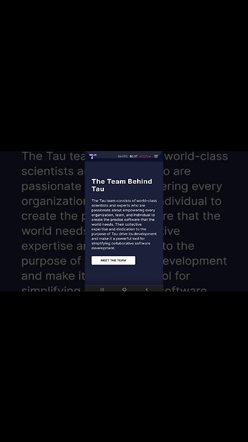 18 The Team Behind Tau #shorts #tauchain #tauteam