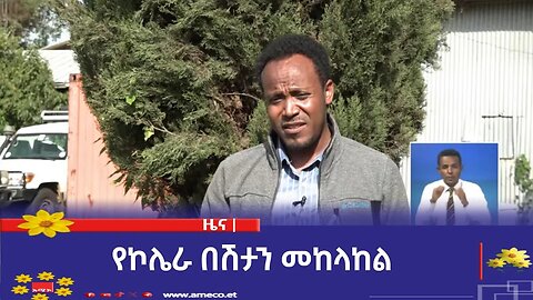 የኮሌራ በሽታን መከላከል