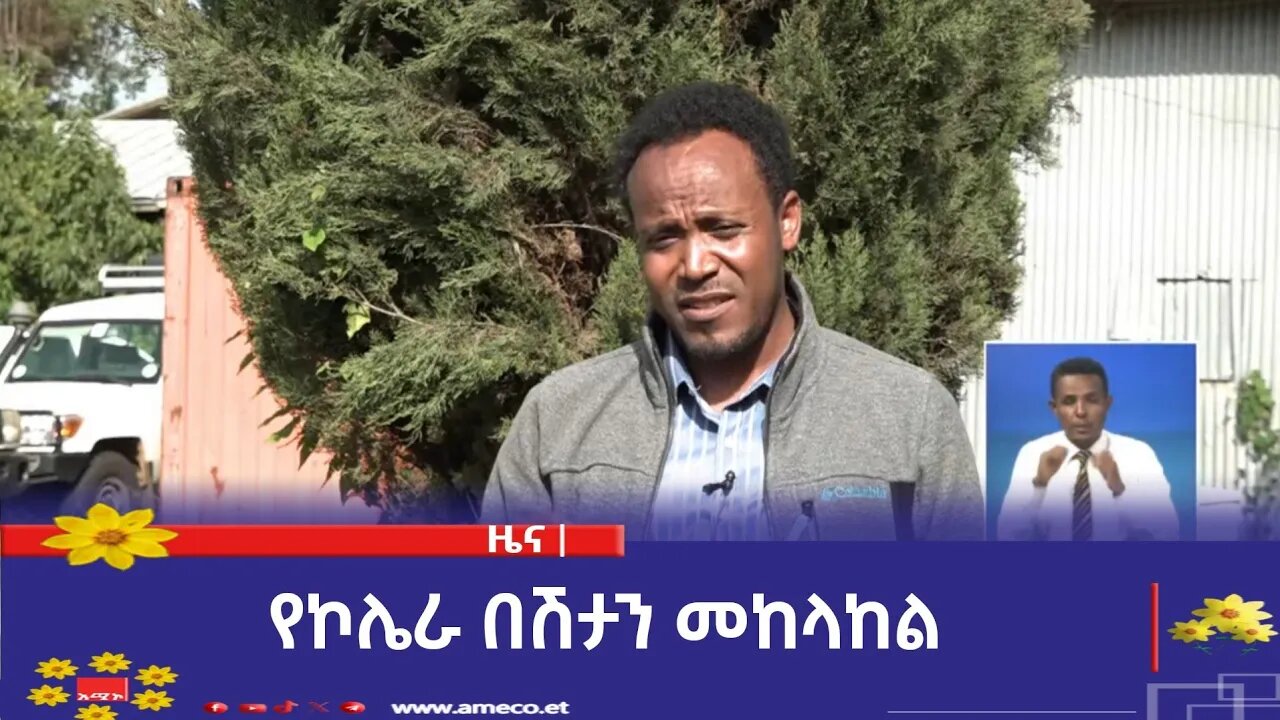 የኮሌራ በሽታን መከላከል