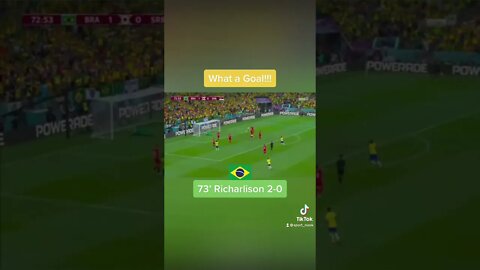 Richarlison goal against Serbia #worldcupgoal #worldcupgoals #richarlison #brasilvsserbia #shorts