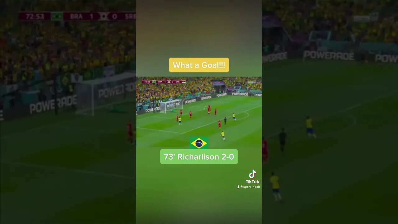 Richarlison goal against Serbia #worldcupgoal #worldcupgoals #richarlison #brasilvsserbia #shorts