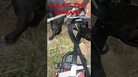 G.O.A.T. Tote Upgrades (Bumpfire Ability?)