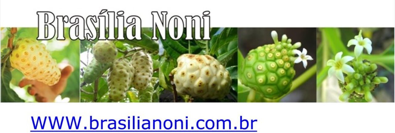 NONI - Morinda citrifolia L., o fruto tropical de 101 aplicações medicinais