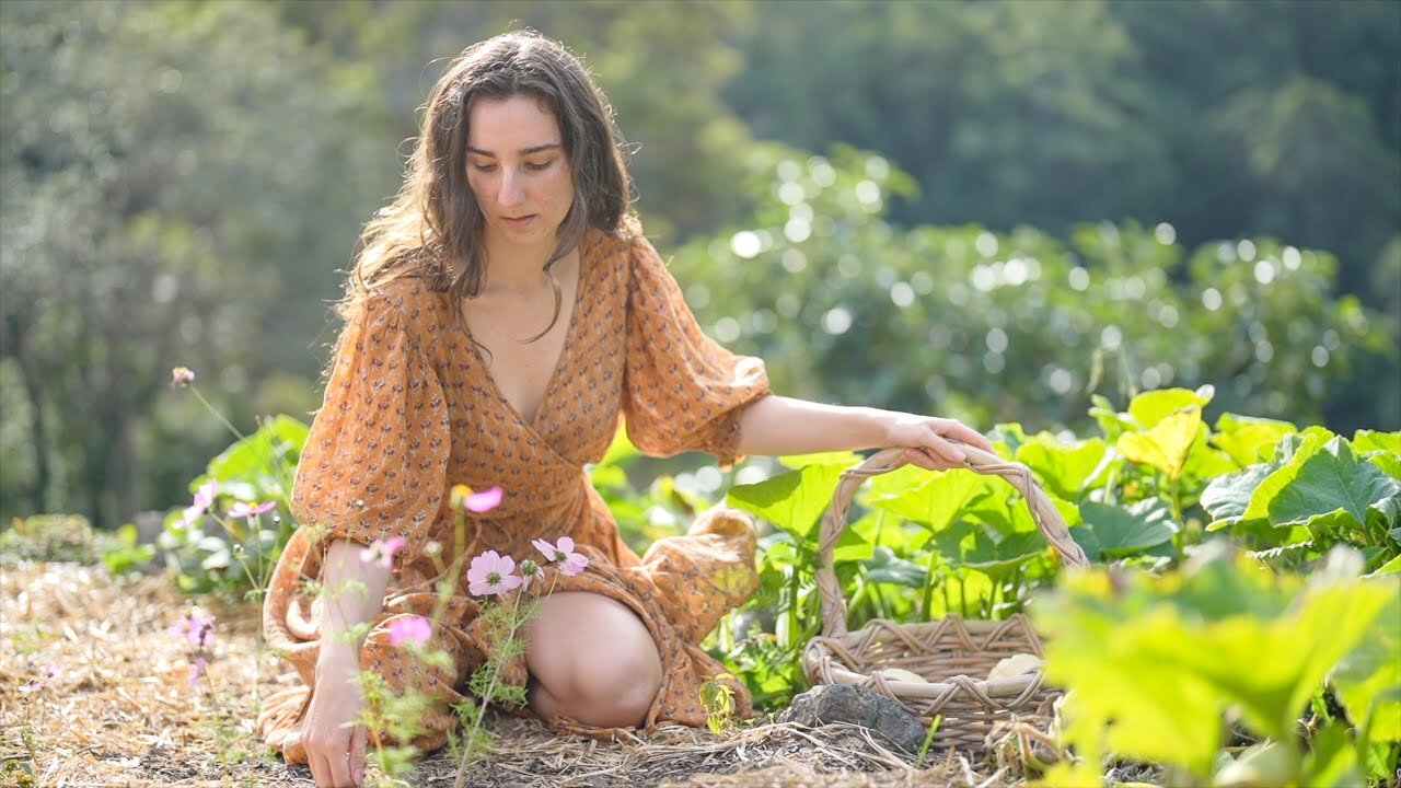 Growing My Own Food in the Countryside: Alone and Off Grid