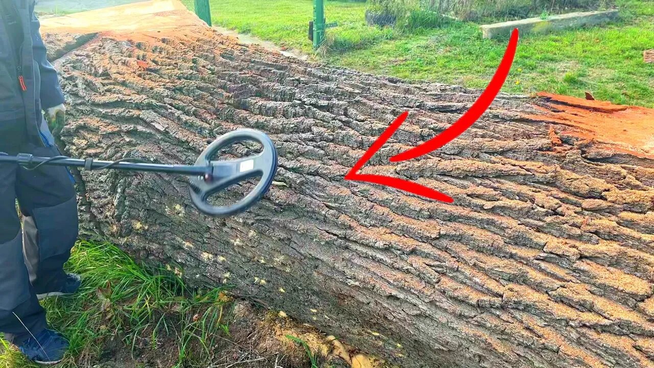 The metal detector goes off the charts before sawing a log into slabs