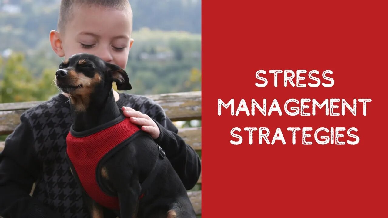 Stress Management Strategies