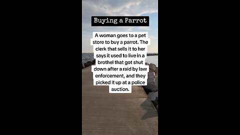 Buying a Parrot