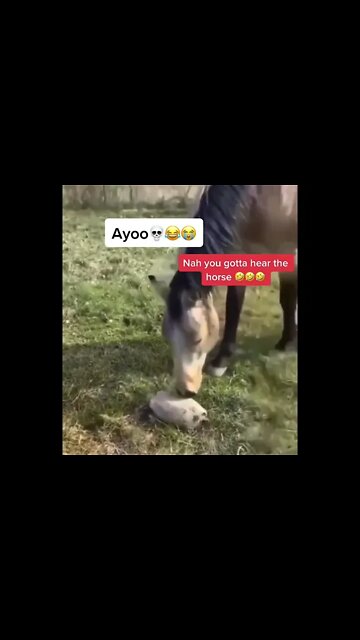 🤣🤣 OMG cant stop laughing!! #shorts