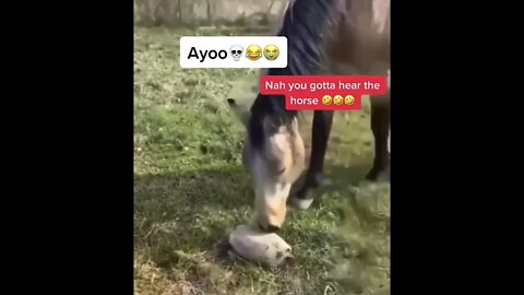 🤣🤣 OMG cant stop laughing!! #shorts
