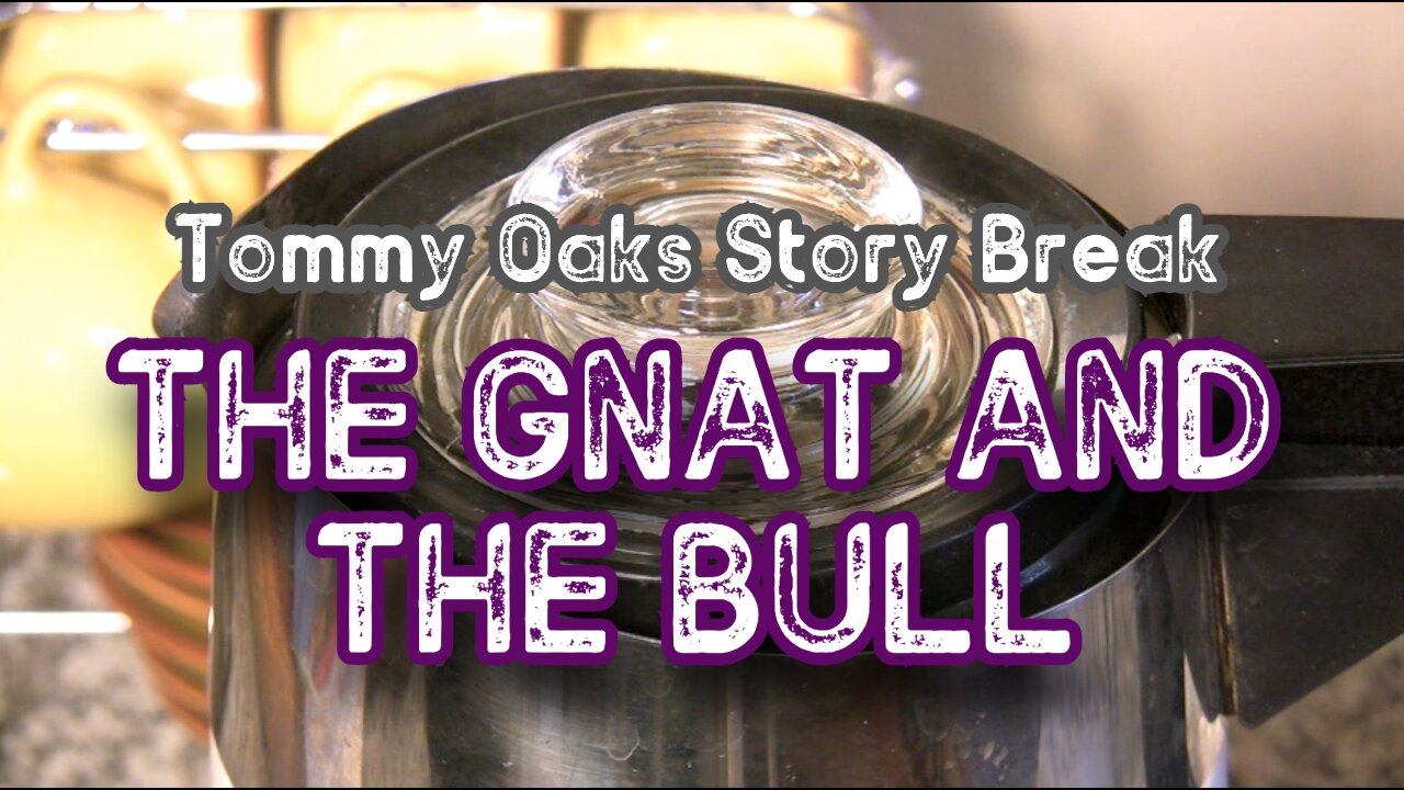 Tommy Oaks Story Break - The Gnat and the Bull 11-6-24