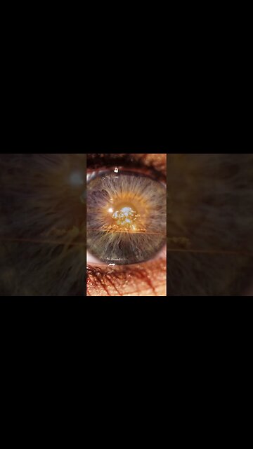 U.S. Dropped 100s of Nukes Near Vegas?! 🤯 #shorts