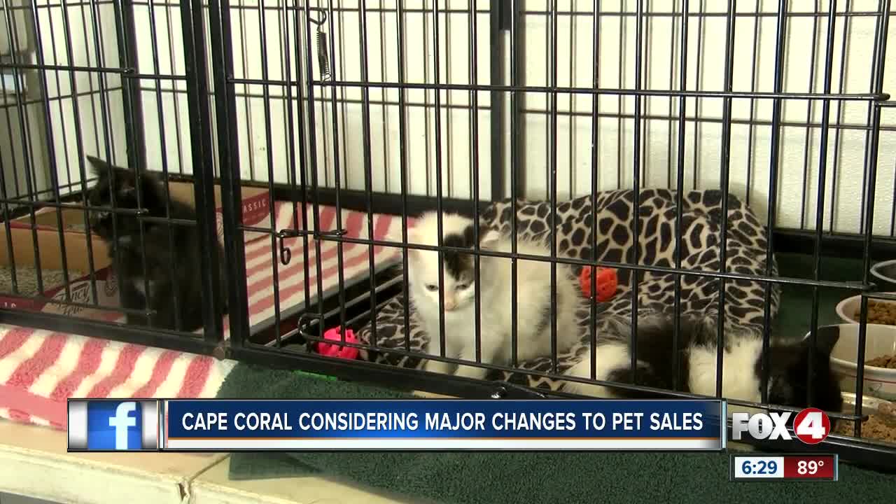 Cape Coral discusses banning cat,dog sales